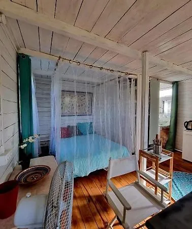 Un Dans Les Oliviers 3 Nuits Mini *