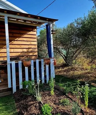 Un Dans Les Oliviers 3 Nuits Mini Appartamento Nîmes